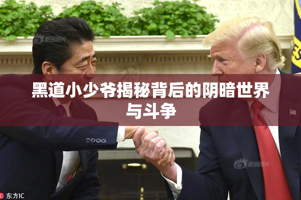 黑道小少爷揭秘背后的阴暗世界与斗争