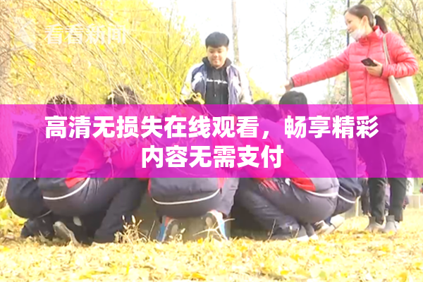 高清无损失在线观看，畅享精彩内容无需支付