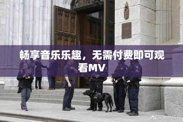 畅享音乐乐趣，无需付费即可观看MV