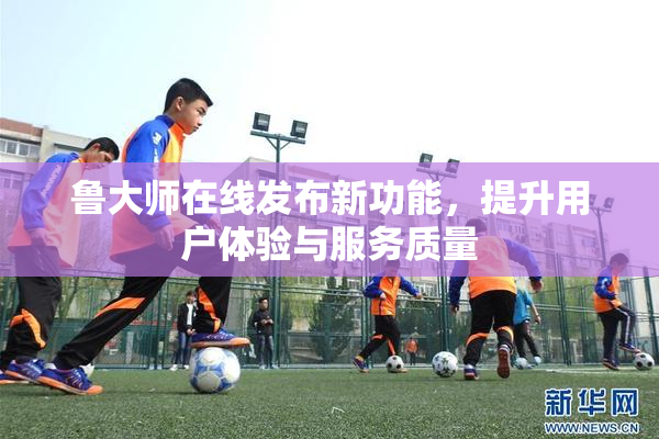 鲁大师在线发布新功能，提升用户体验与服务质量
