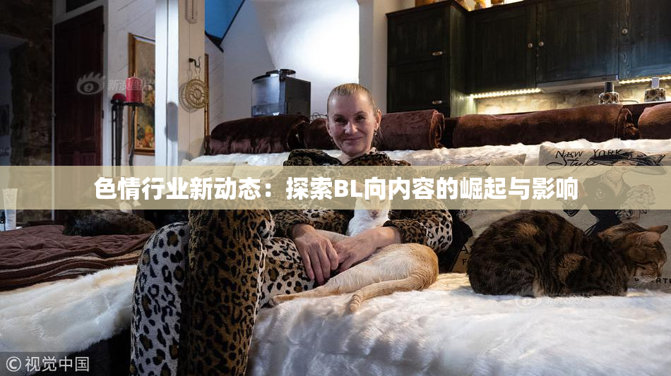 色情行业新动态：探索BL向内容的崛起与影响