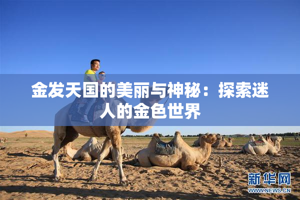 金发天国的美丽与神秘：探索迷人的金色世界