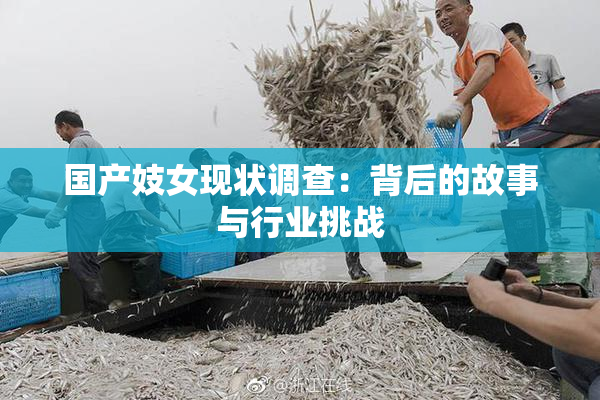 国产妓女现状调查：背后的故事与行业挑战
