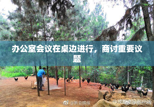 办公室会议在桌边进行，商讨重要议题