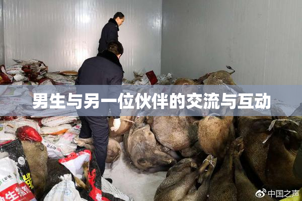 男生与另一位伙伴的交流与互动