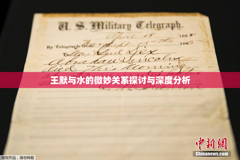 王默与水的微妙关系探讨与深度分析
