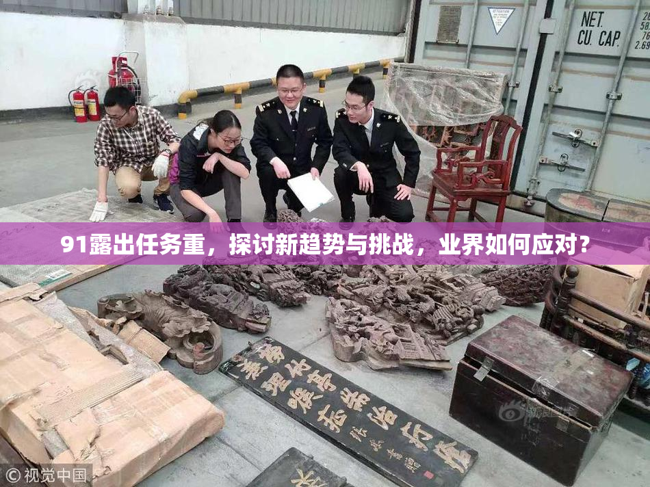 91露出任务重，探讨新趋势与挑战，业界如何应对？