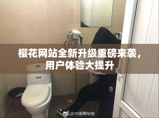 樱花网站全新升级重磅来袭，用户体验大提升