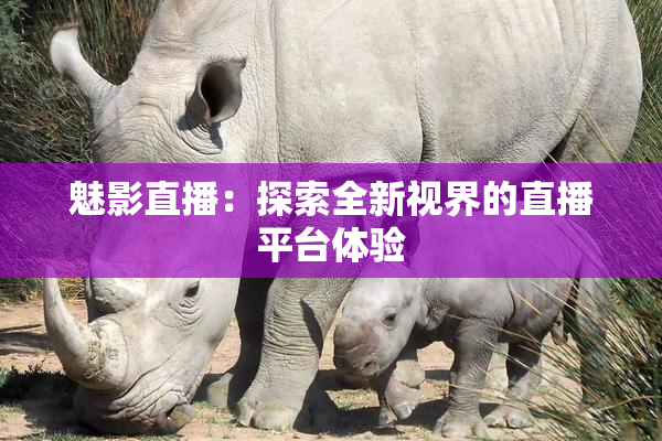 魅影直播：探索全新视界的直播平台体验