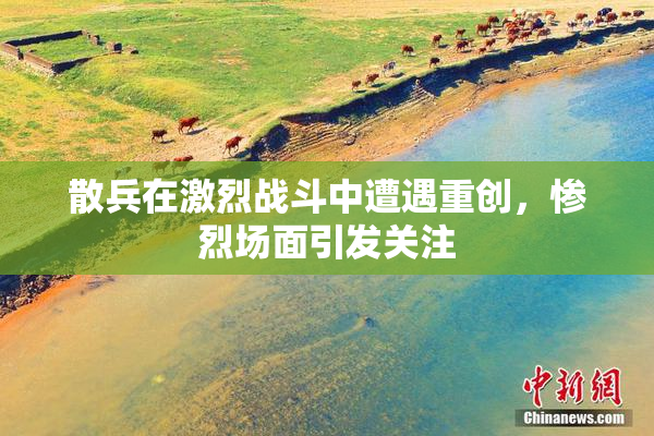 散兵在激烈战斗中遭遇重创，惨烈场面引发关注