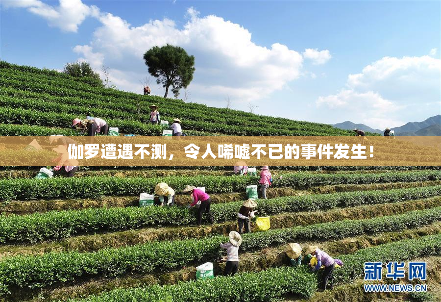 伽罗遭遇不测，令人唏嘘不已的事件发生！