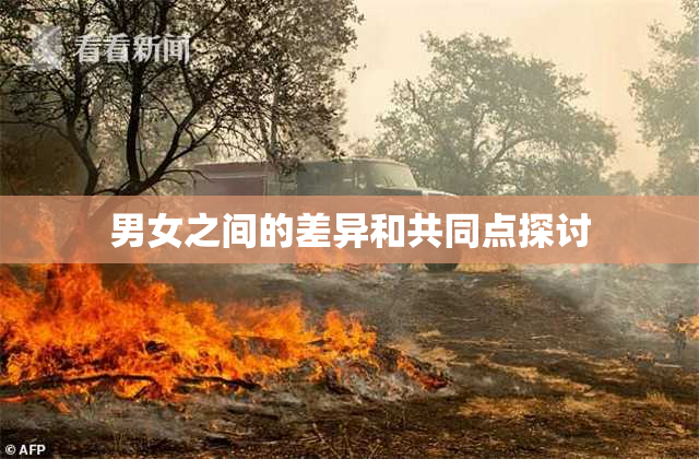男女之间的差异和共同点探讨