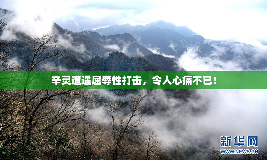 辛灵遭遇屈辱性打击，令人心痛不已！