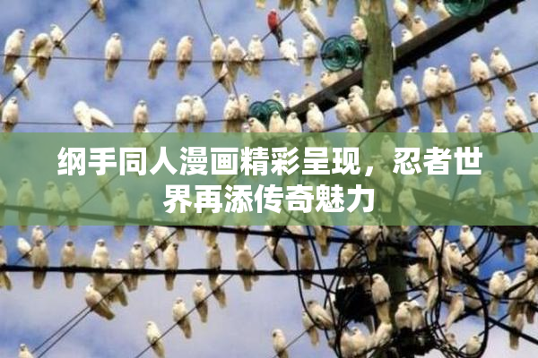 纲手同人漫画精彩呈现，忍者世界再添传奇魅力