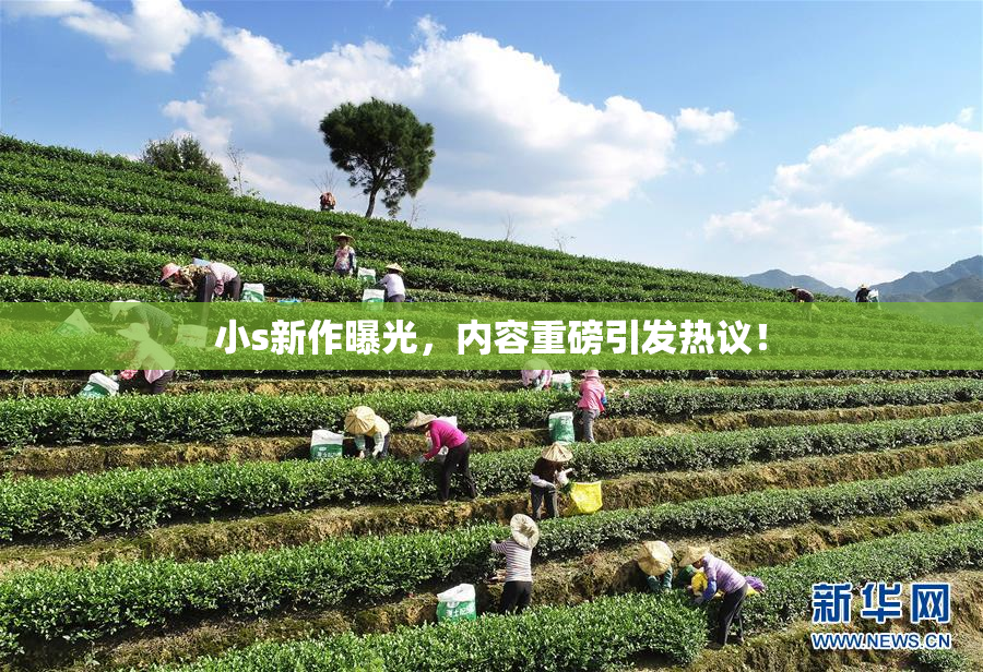 小s新作曝光，内容重磅引发热议！