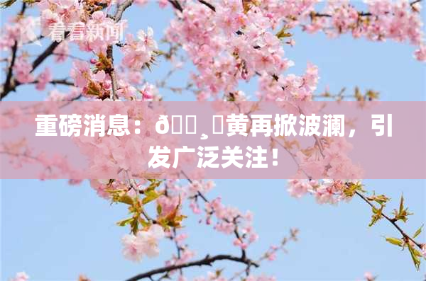 重磅消息：🌸‌黄再掀波澜，引发广泛关注！