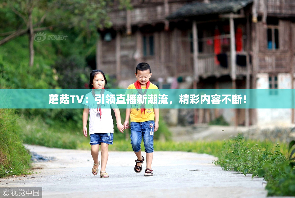 蘑菇TV：引领直播新潮流，精彩内容不断！