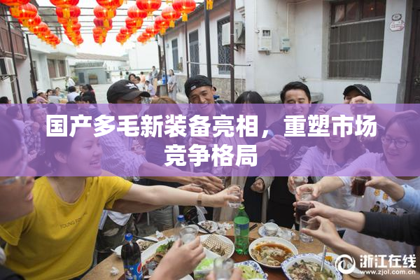国产多毛新装备亮相，重塑市场竞争格局