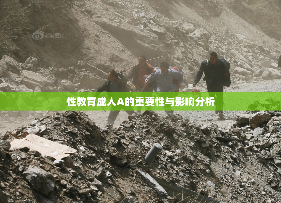 性教育成人A的重要性与影响分析