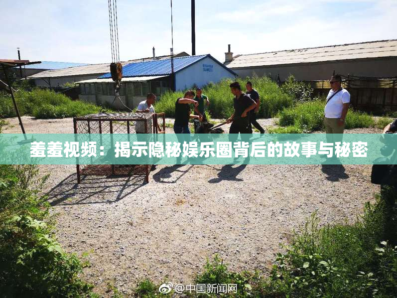 羞羞视频：揭示隐秘娱乐圈背后的故事与秘密