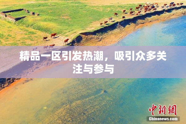 精品一区引发热潮，吸引众多关注与参与
