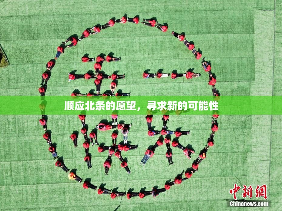 顺应北条的愿望，寻求新的可能性