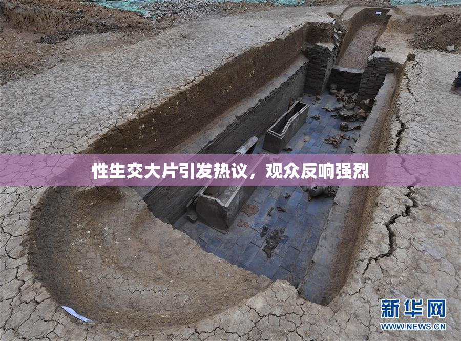 性生交大片引发热议，观众反响强烈