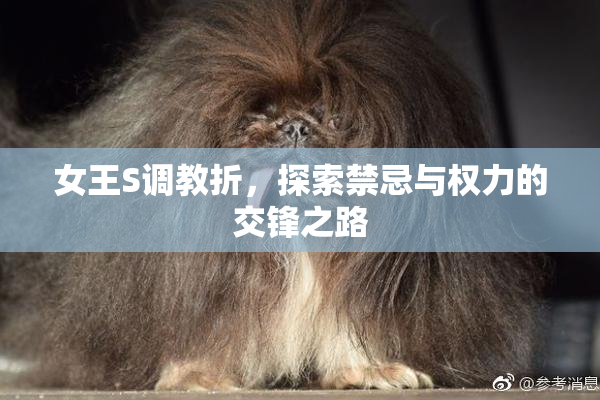 女王S调教折，探索禁忌与权力的交锋之路