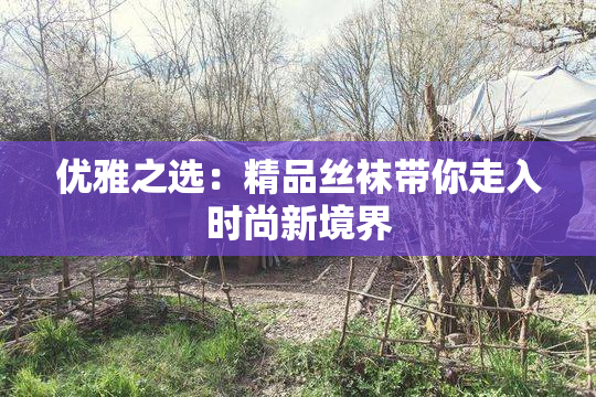 优雅之选：精品丝袜带你走入时尚新境界