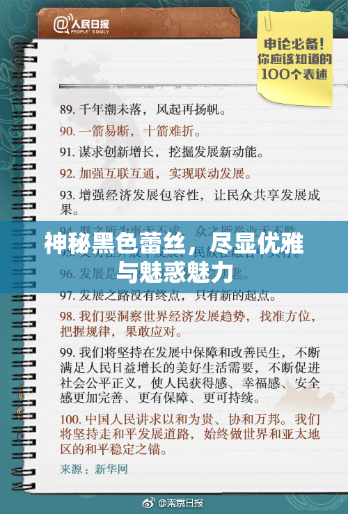 神秘黑色蕾丝，尽显优雅与魅惑魅力