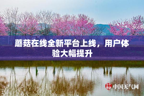 蘑菇在线全新平台上线，用户体验大幅提升