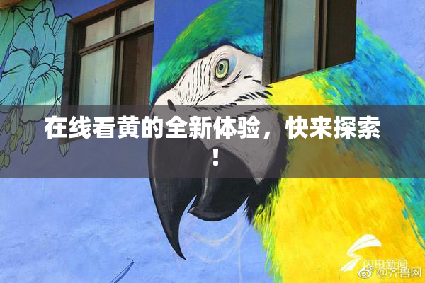 在线看黄的全新体验，快来探索！