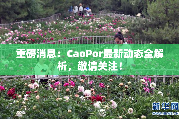 重磅消息：CaoPor最新动态全解析，敬请关注！