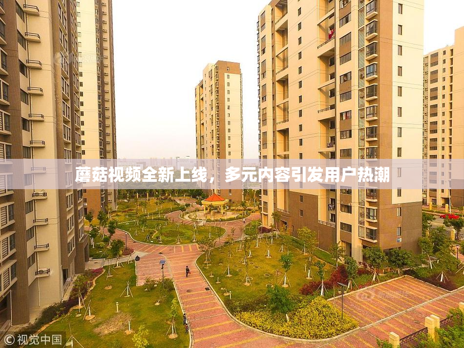 蘑菇视频全新上线，多元内容引发用户热潮