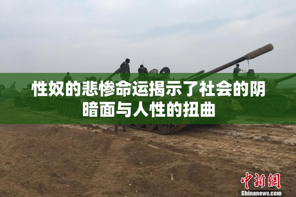性奴的悲惨命运揭示了社会的阴暗面与人性的扭曲