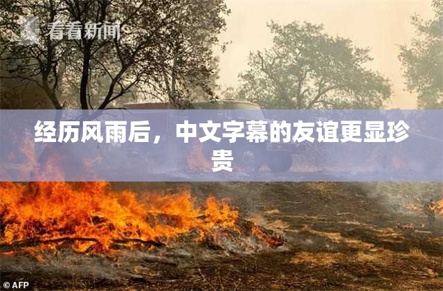 经历风雨后，中文字幕的友谊更显珍贵