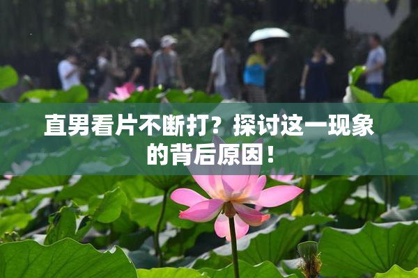 直男看片不断打？探讨这一现象的背后原因！