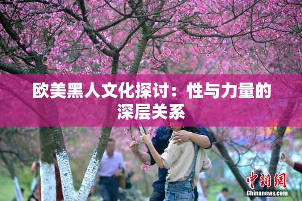 欧美黑人文化探讨：性与力量的深层关系