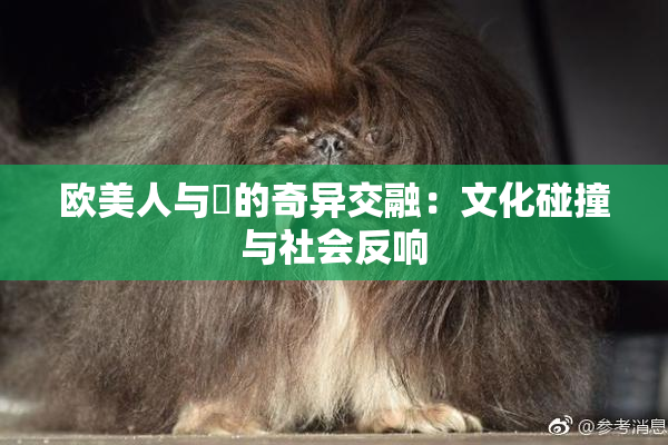 欧美人与嘼的奇异交融：文化碰撞与社会反响