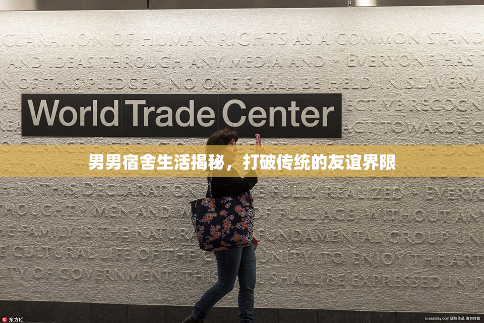 男男宿舍生活揭秘，打破传统的友谊界限