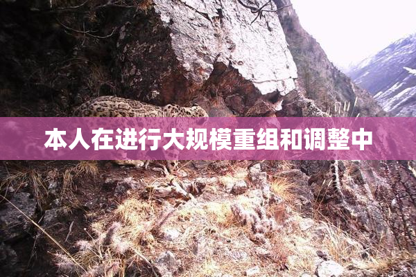 本人在进行大规模重组和调整中