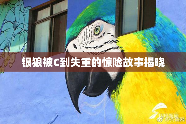 银狼被C到失重的惊险故事揭晓