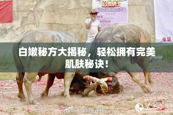 白嫩秘方大揭秘，轻松拥有完美肌肤秘诀！