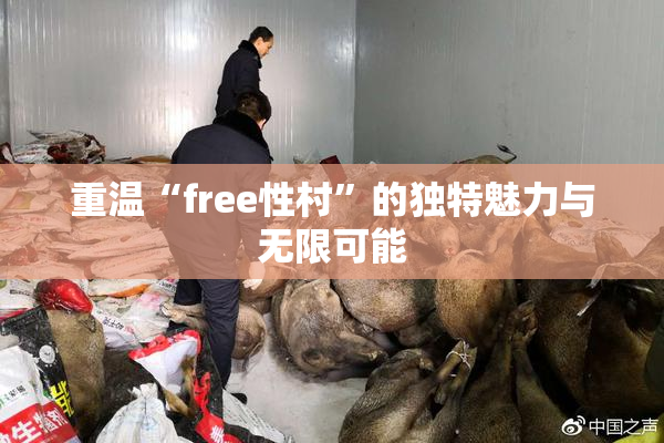 重温“free性村”的独特魅力与无限可能