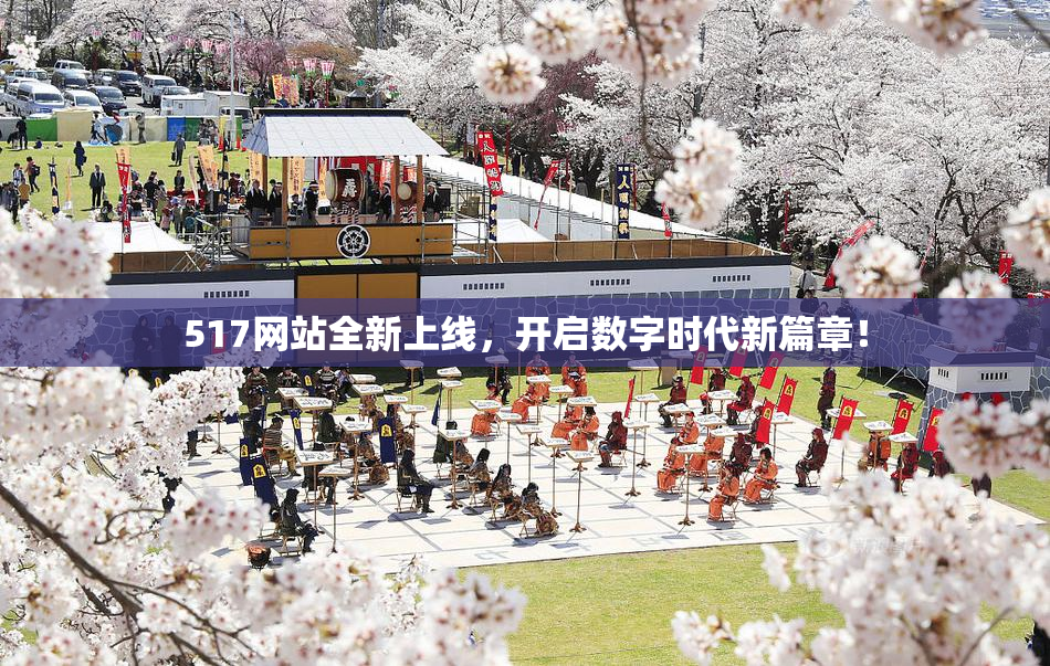 517网站全新上线，开启数字时代新篇章！