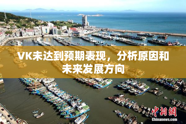VK未达到预期表现，分析原因和未来发展方向