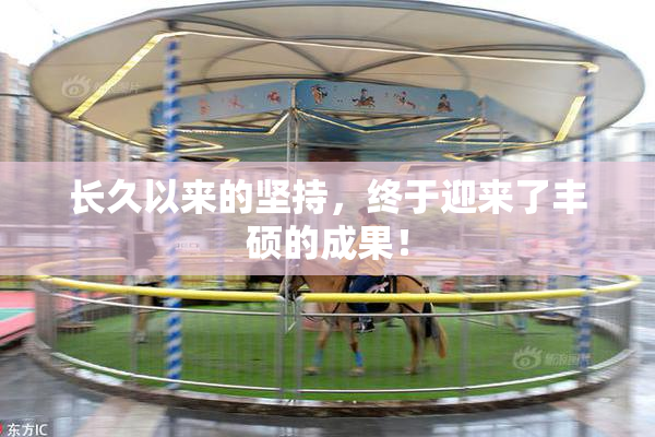 长久以来的坚持，终于迎来了丰硕的成果！