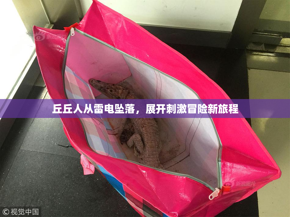 丘丘人从雷电坠落，展开刺激冒险新旅程