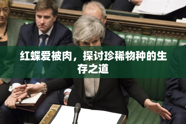 红蝶爱被肉，探讨珍稀物种的生存之道