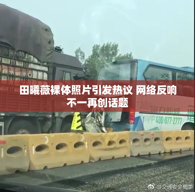 田曦薇裸体照片引发热议 网络反响不一再创话题